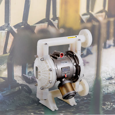 comprare Pompa di diaframma di plastica portatile e facile da installare per la lavorazione di materiali sicuri 1 pollice online manufacture